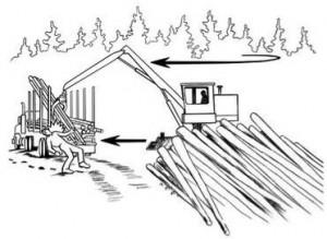 FORESTER COMES TOO CLOSE TO SWINGING LOAD