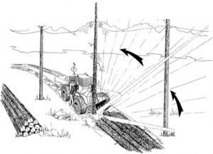 Skidder Jerks Tree Upright, Breaking Power Line