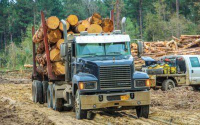 Georgia Seeks To Raise Log Load Limits