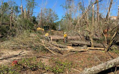 Northeast Texas Tornadoes Cause Estimated $13 Million In Damage To Timber