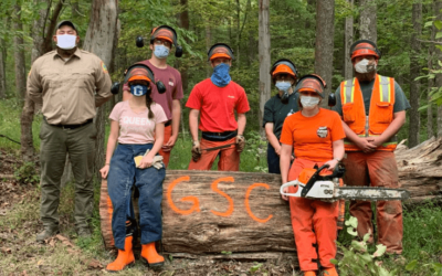 West Virginia Students Gain Tree Falling Skills